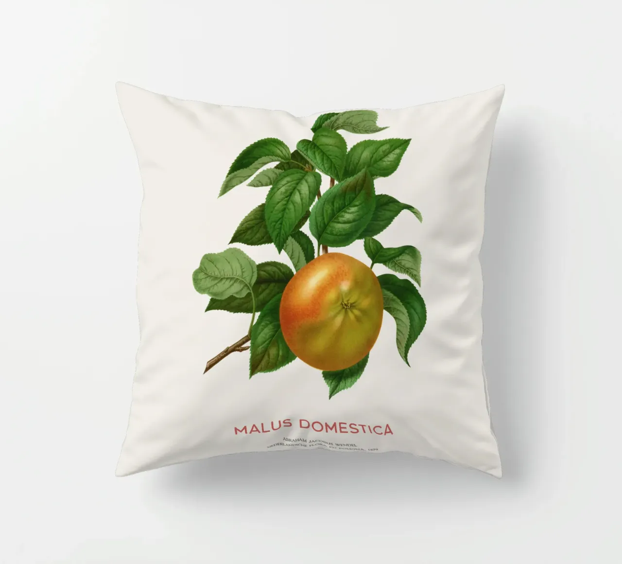 Botanical Apple Blossom Art or Malus domestica decorative cushion by Vintagrafica
