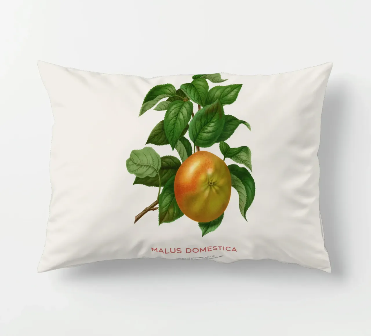 Botanical Apple Blossom Art or Malus domestica decorative cushion by Vintagrafica