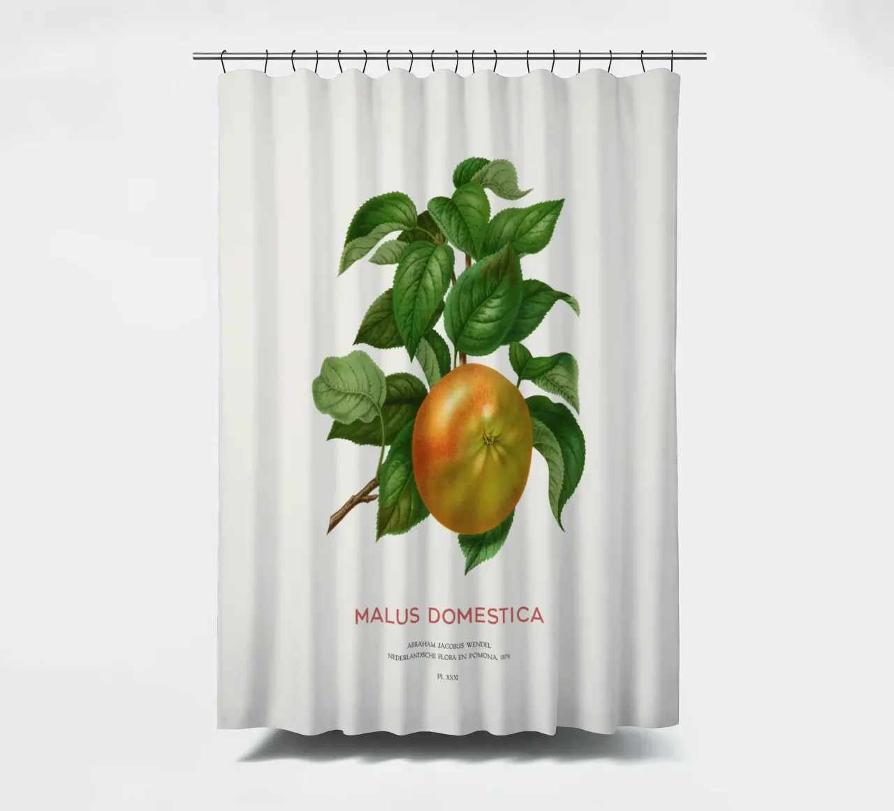 Botanische Apfelblütenkunst oder Malus domestica Duschvorhang von Vintagrafica