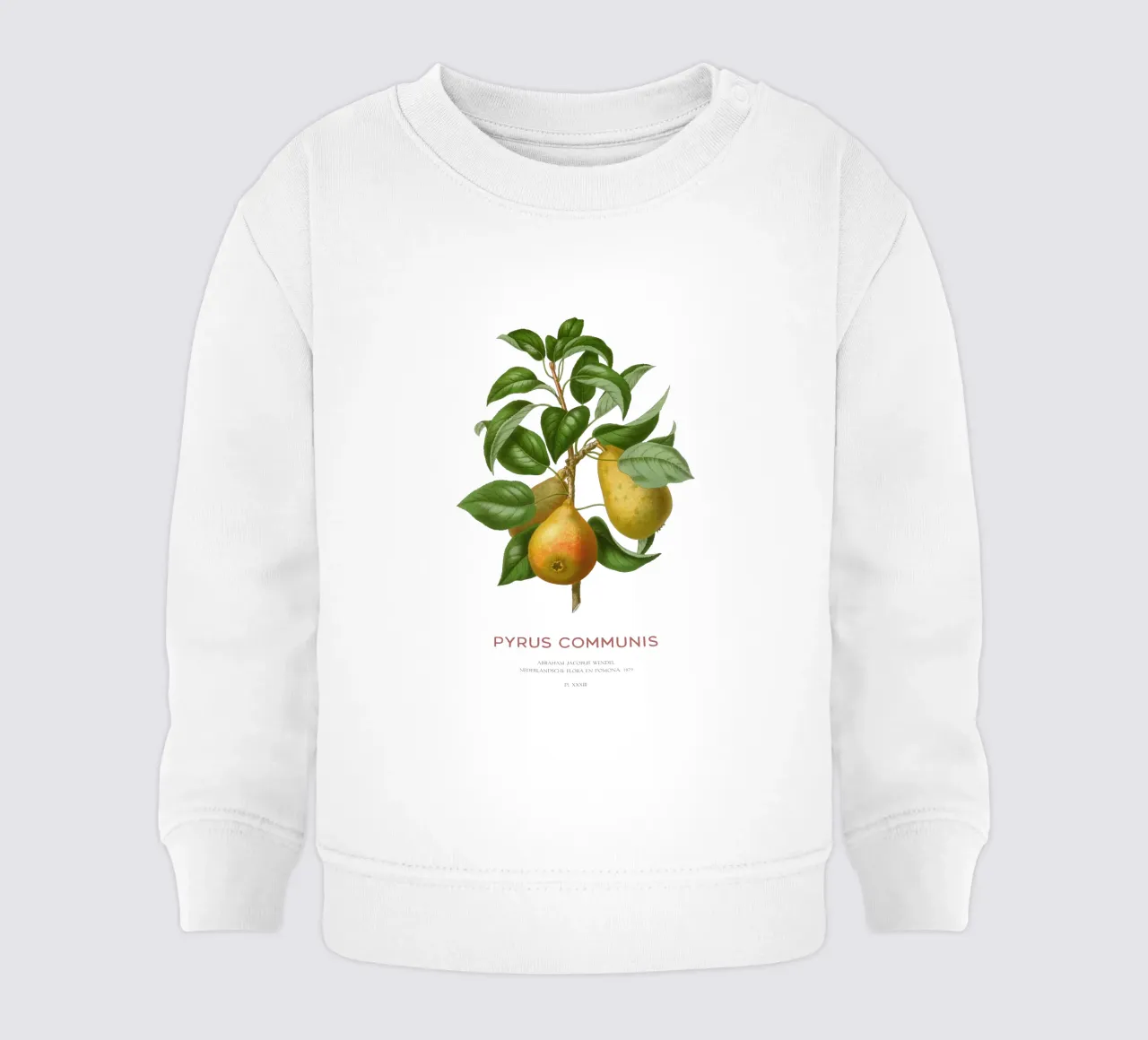 Acquerello botanico sulla pera felpa neonato da Vintagrafica