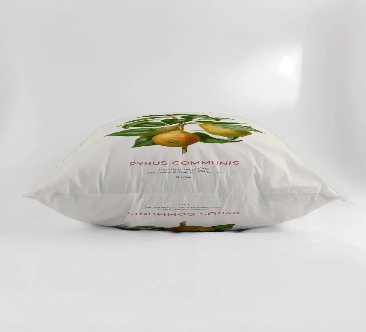 Acquerello botanico sulla pera cuscino da Vintagrafica