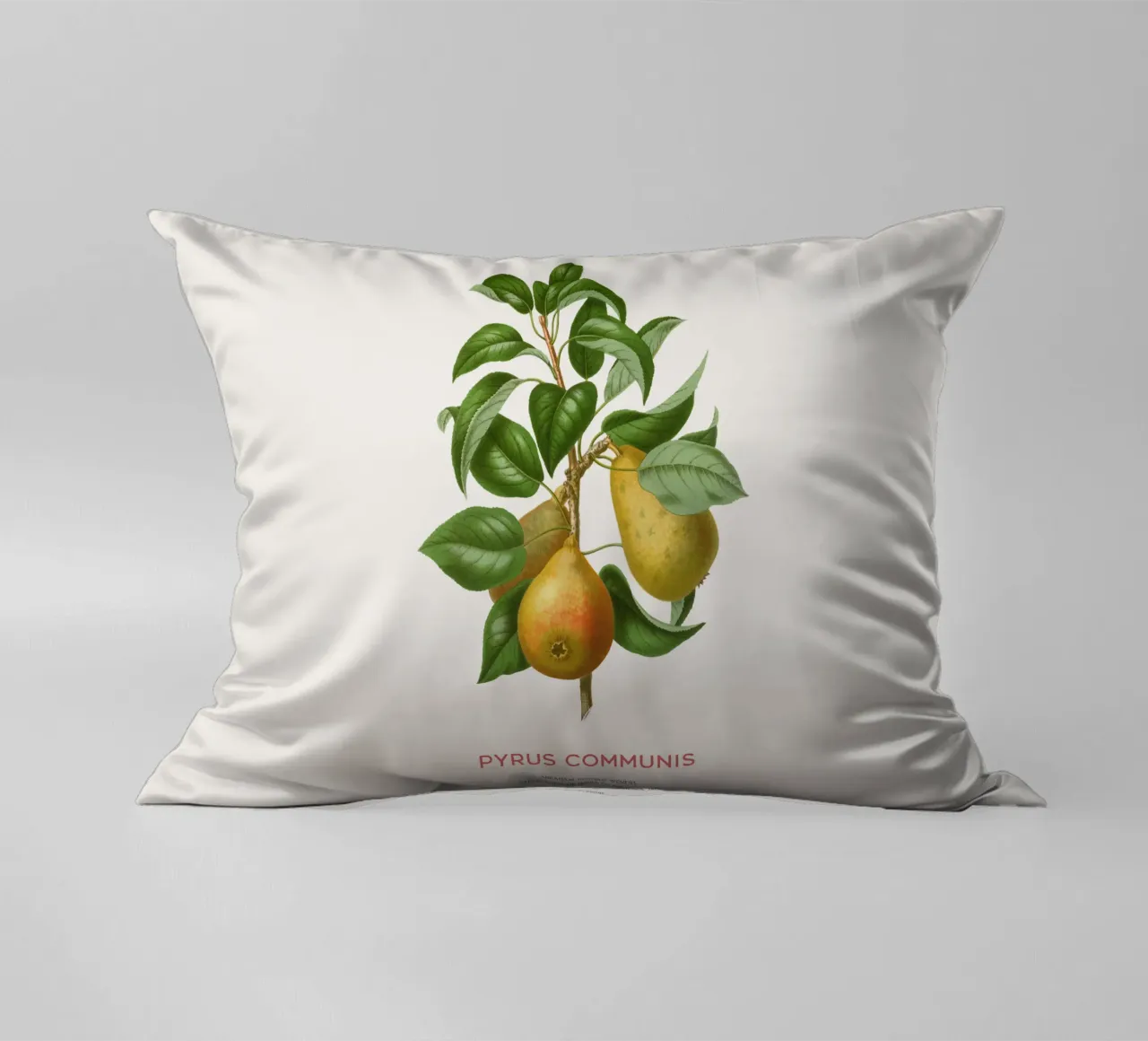 Acquerello botanico sulla pera cuscino da Vintagrafica
