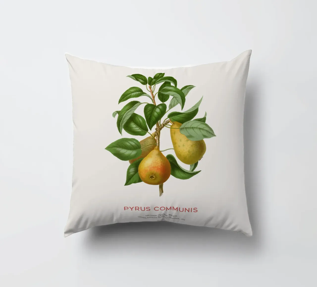 Acquerello botanico sulla pera cuscino da Vintagrafica