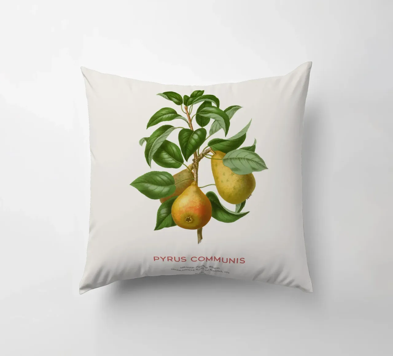 Acquerello botanico sulla pera cuscino da Vintagrafica