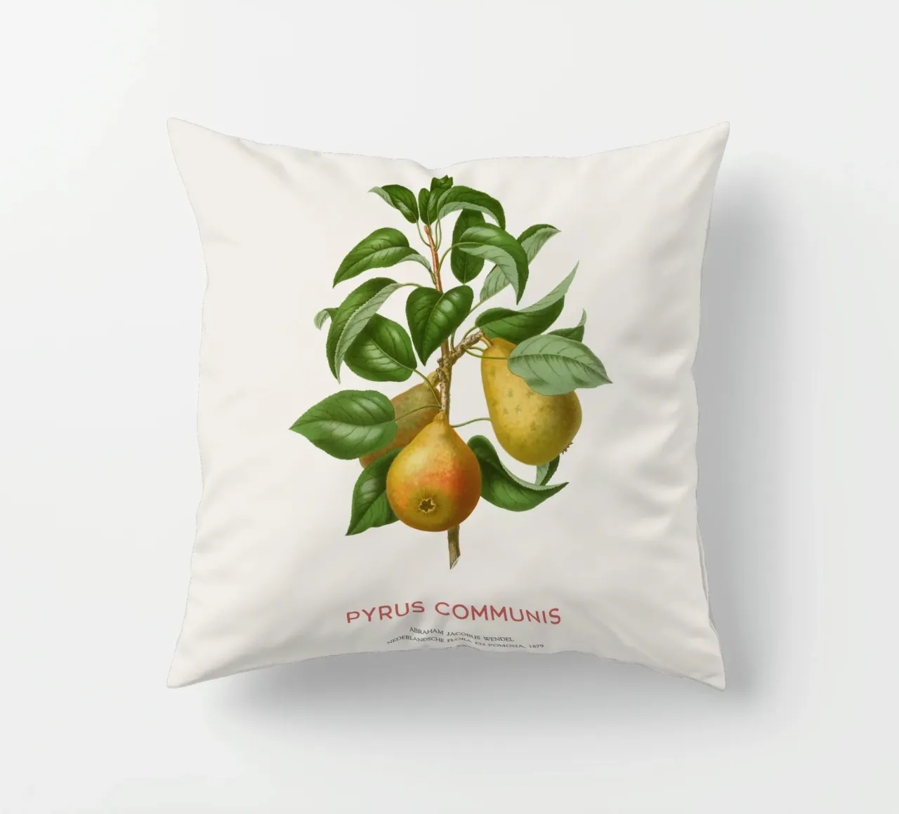 Acquerello botanico sulla pera cuscino da Vintagrafica
