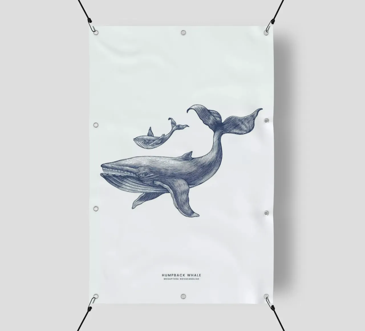 Humpback Whale II telo in pvc da Flora & Fauna