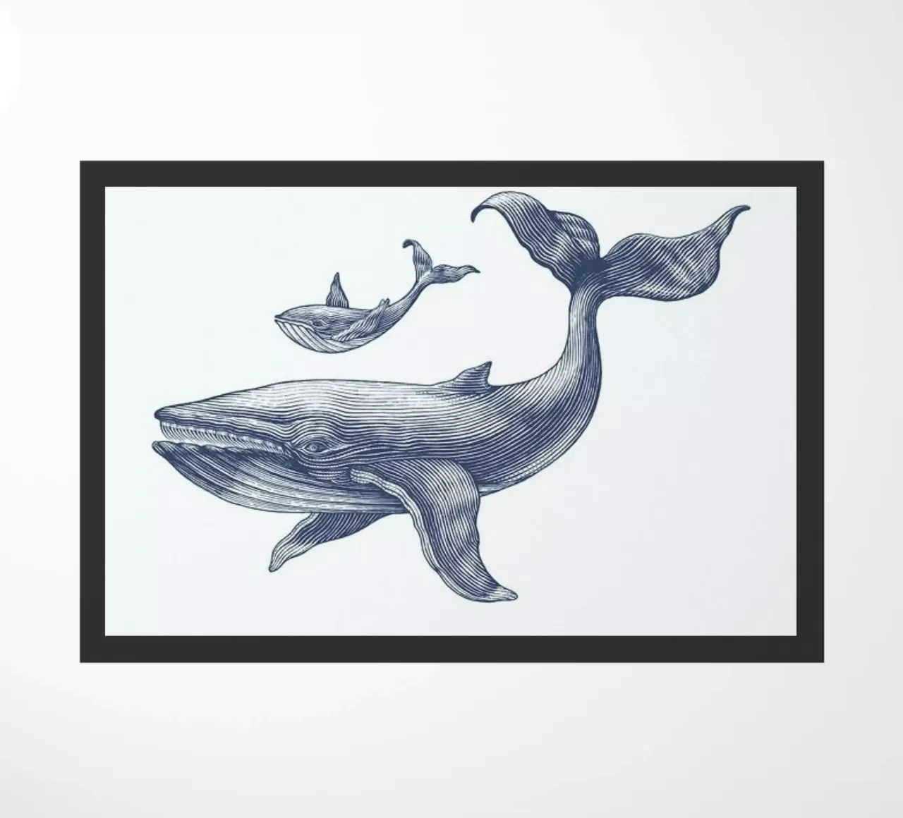 Humpback Whale II zerbino da Flora & Fauna