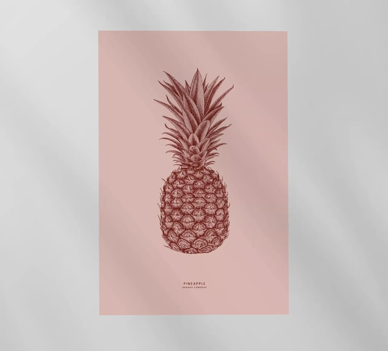 Pineapple II pellicola backlit da Flora & Fauna
