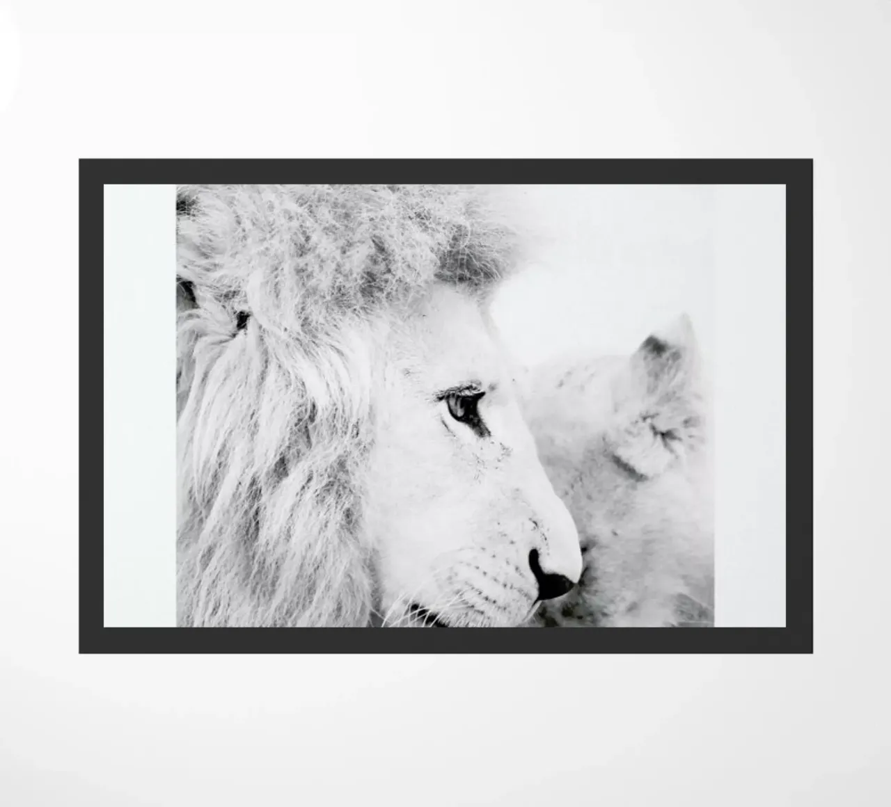 A Softer Side zerbino da Natural Kingdom