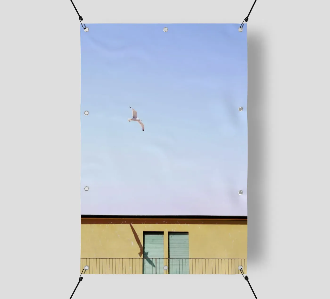 Checking In PVC Plane von Rupert Höller