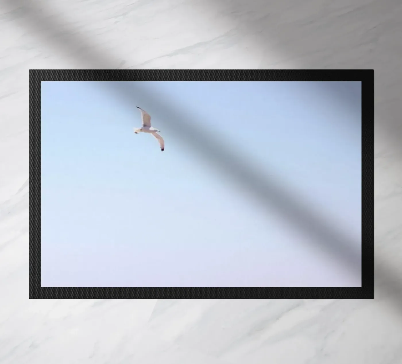 Checking In zerbino da Rupert Höller