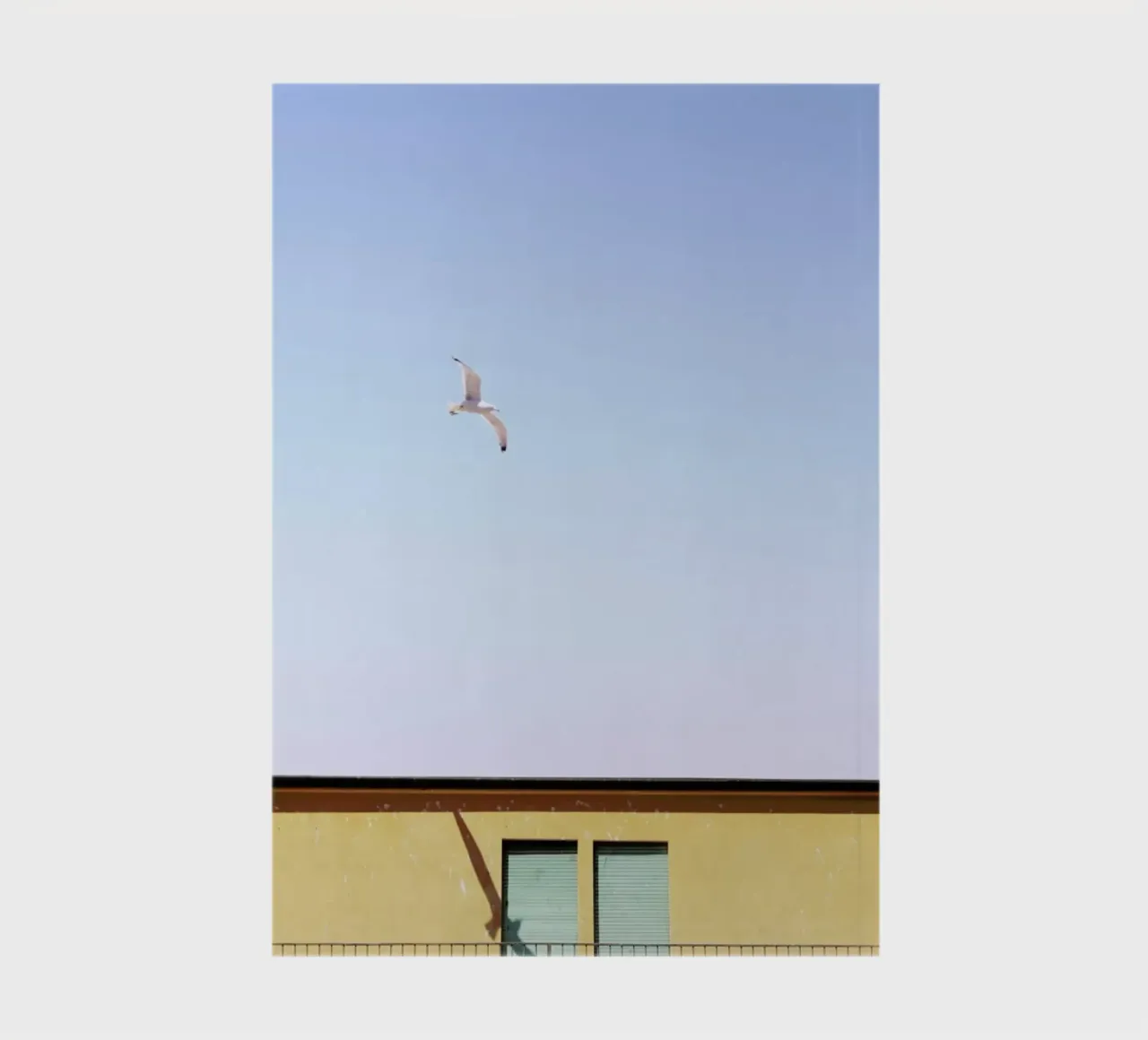 Checking In notebook by Rupert Höller