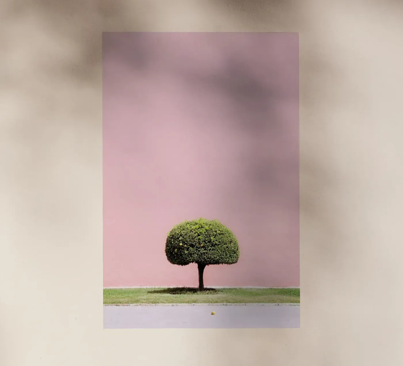 Orange Tree pellicola backlit da Rupert Höller