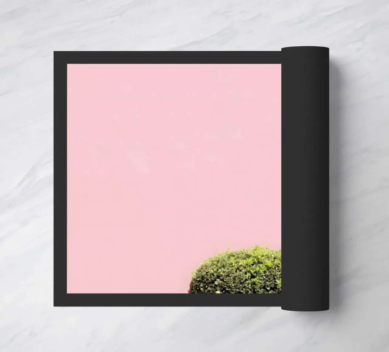 Orange Tree zerbino da Rupert Höller