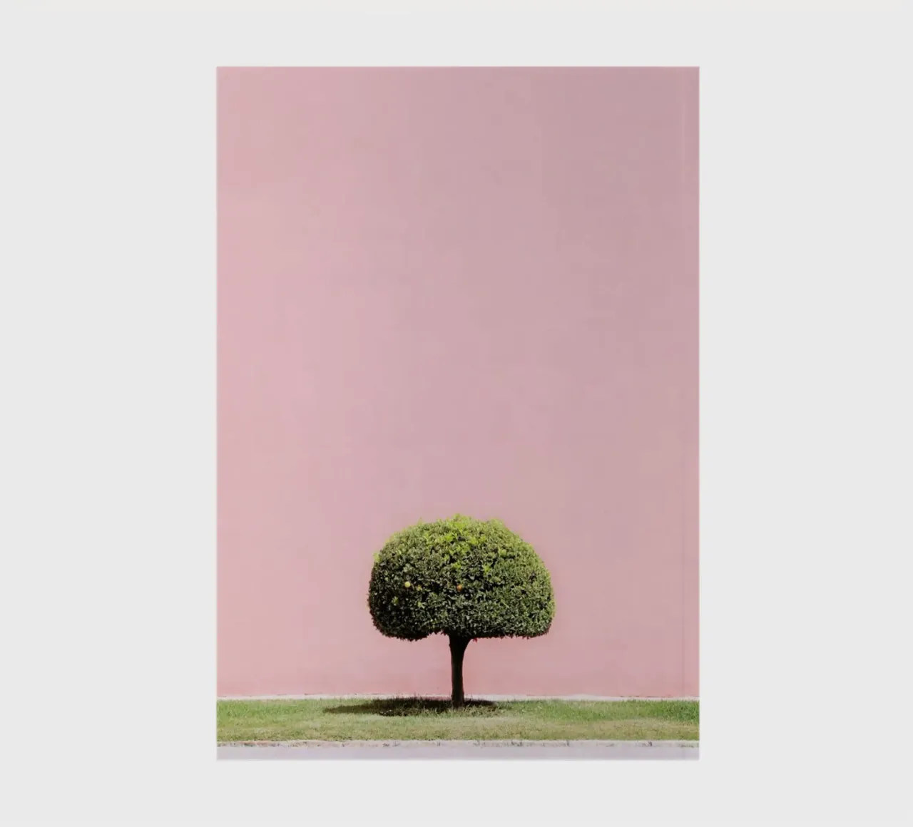 Orange Tree notebook by Rupert Höller