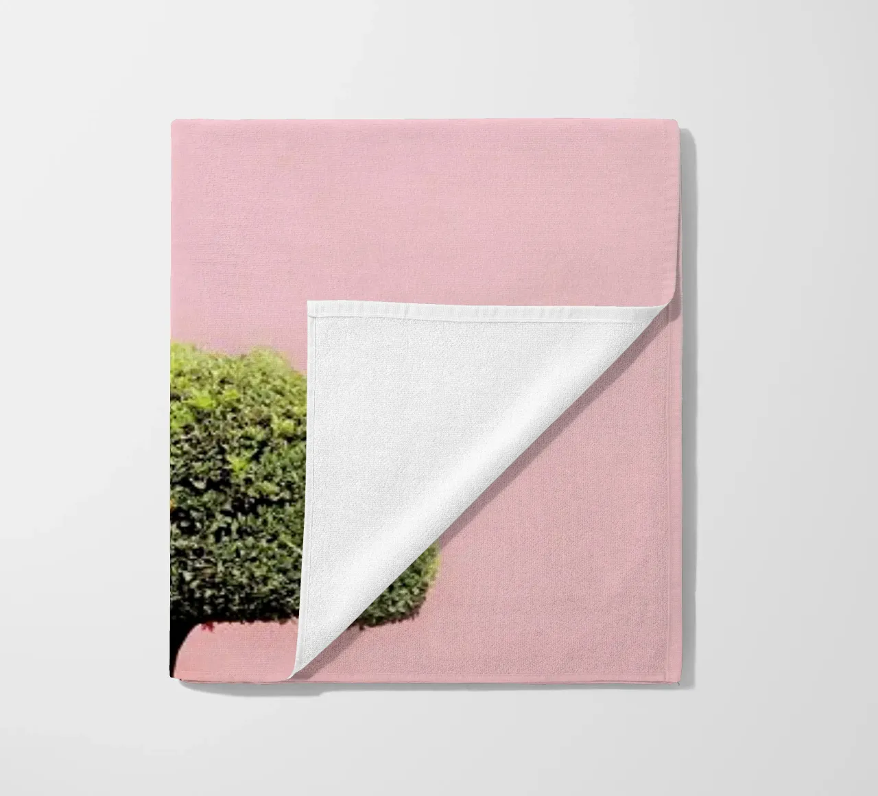 Orange Tree telo mare da Rupert Höller