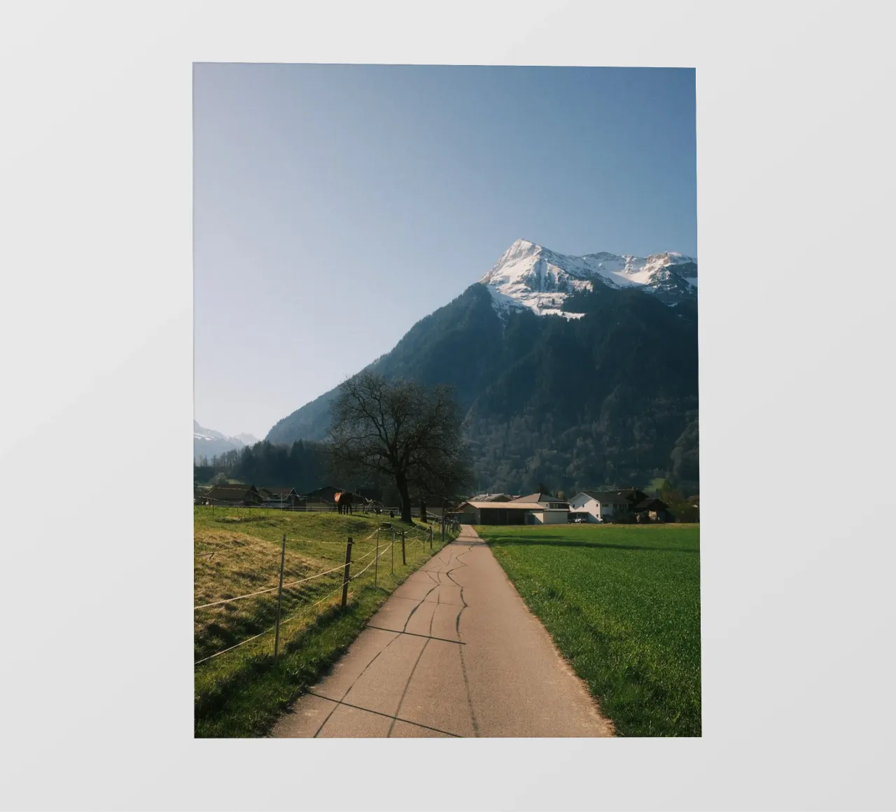 Path to the Niesen telo in pvc da FujiSwiss