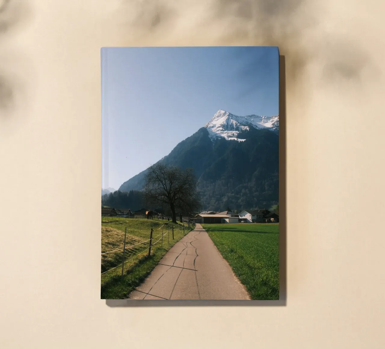 Path to the Niesen notebook by FujiSwiss