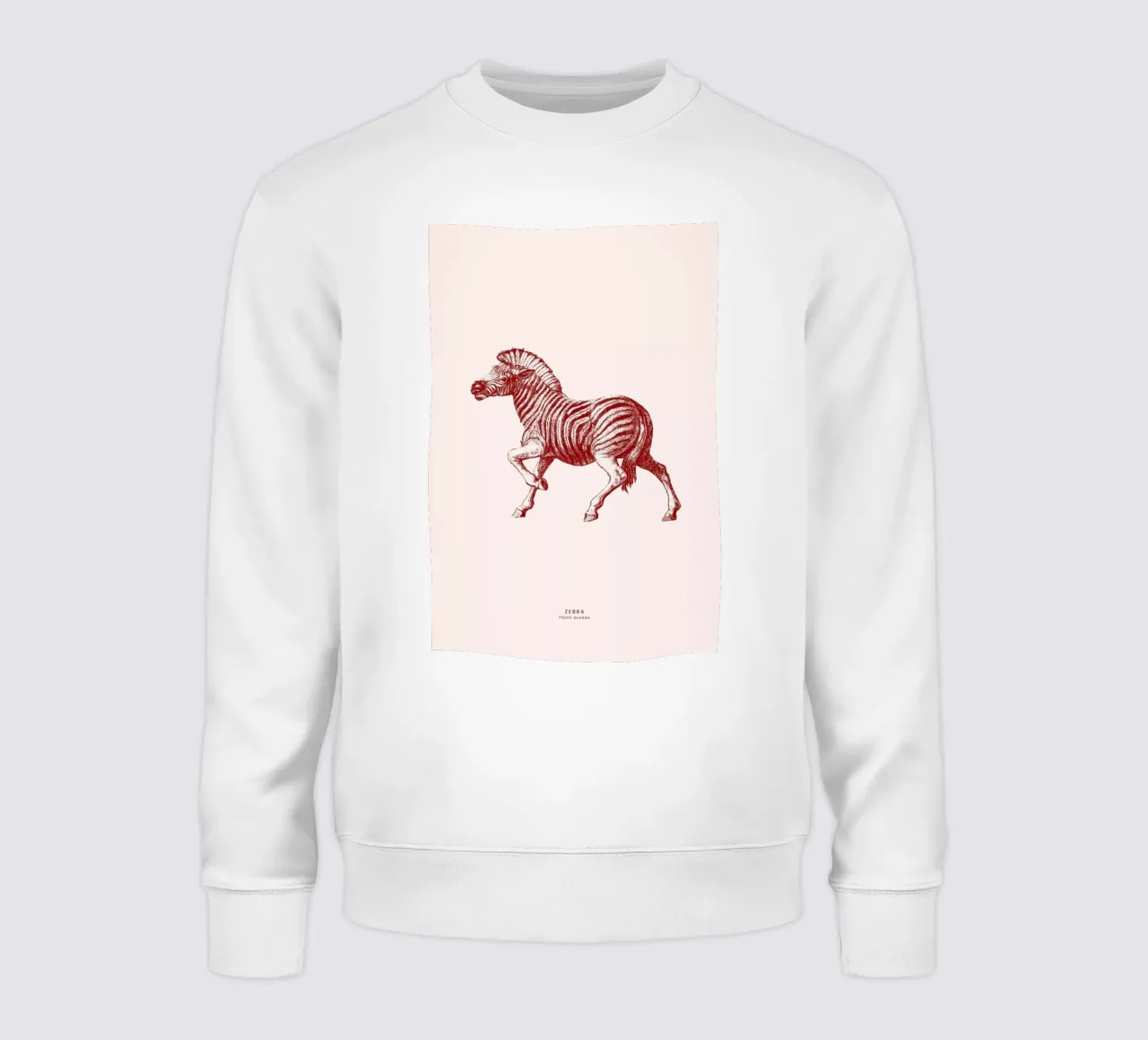 Zebra II sweatshirt by Flora & Fauna