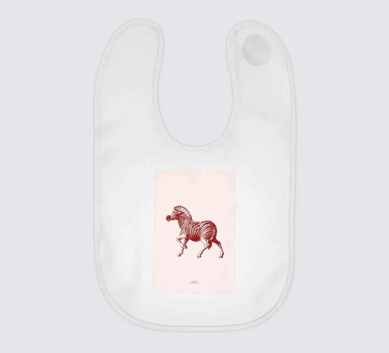 Zebra II bavaglino da Flora & Fauna