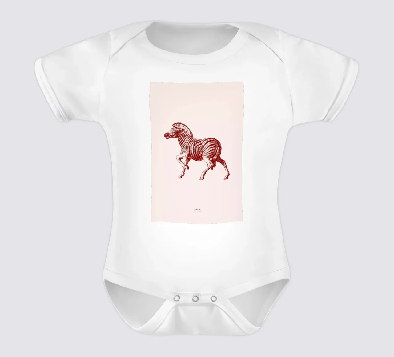 Zebra II body neonato maniche corte da Flora & Fauna