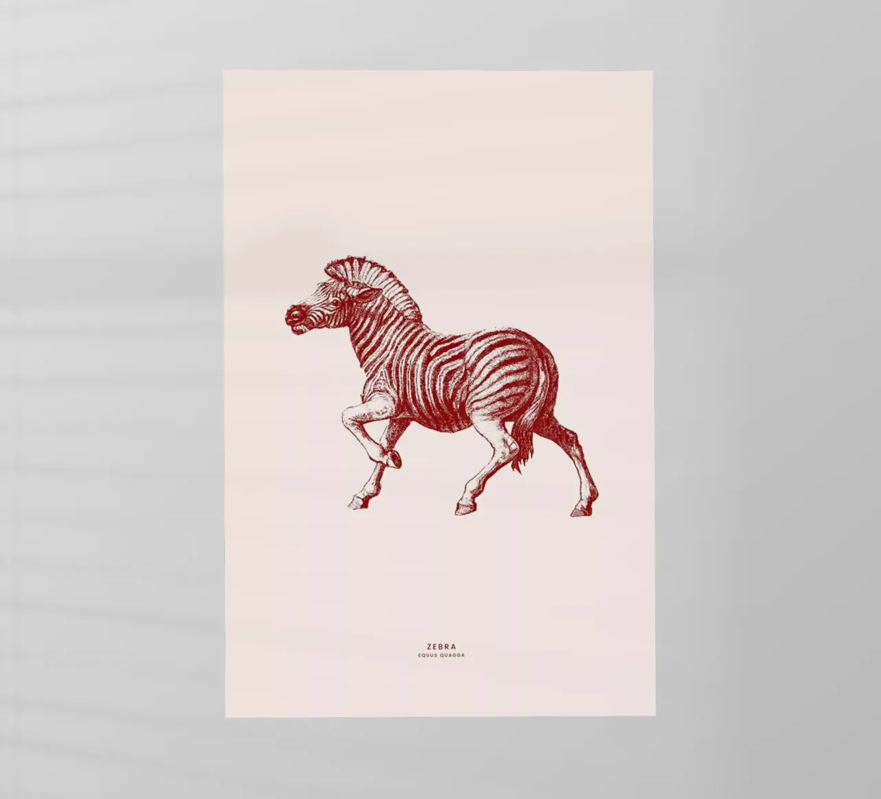 Zebra II pellicola backlit da Flora & Fauna