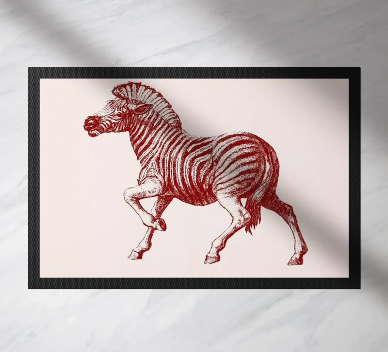 Zebra II zerbino da Flora & Fauna