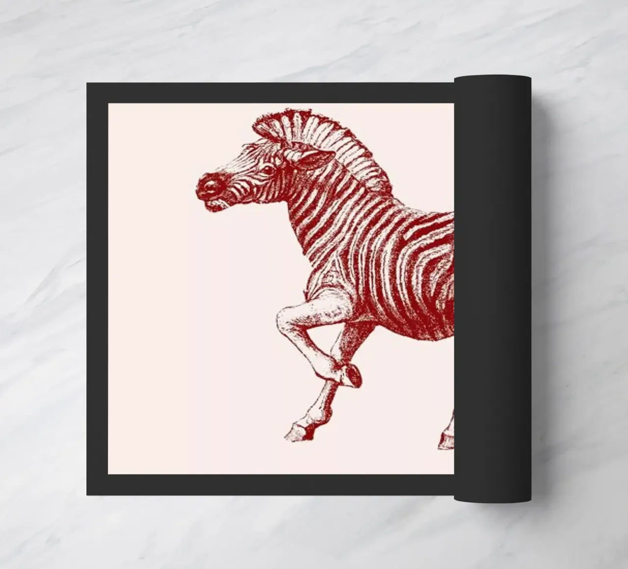 Zebra II zerbino da Flora & Fauna