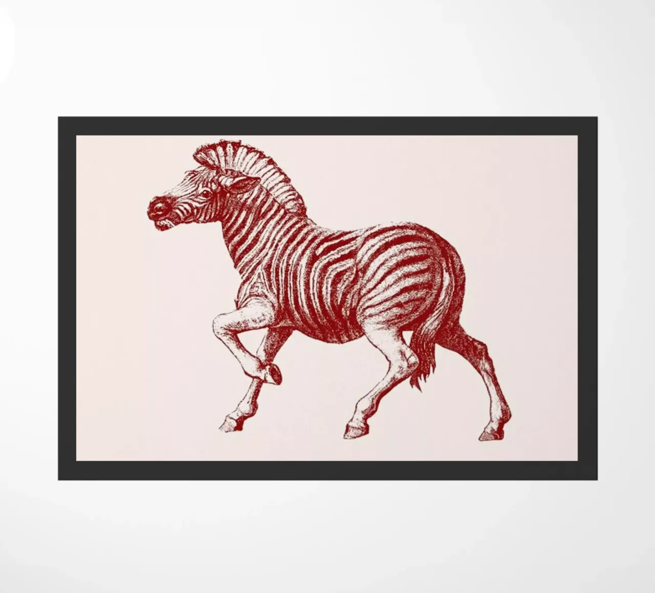 Zebra II zerbino da Flora & Fauna