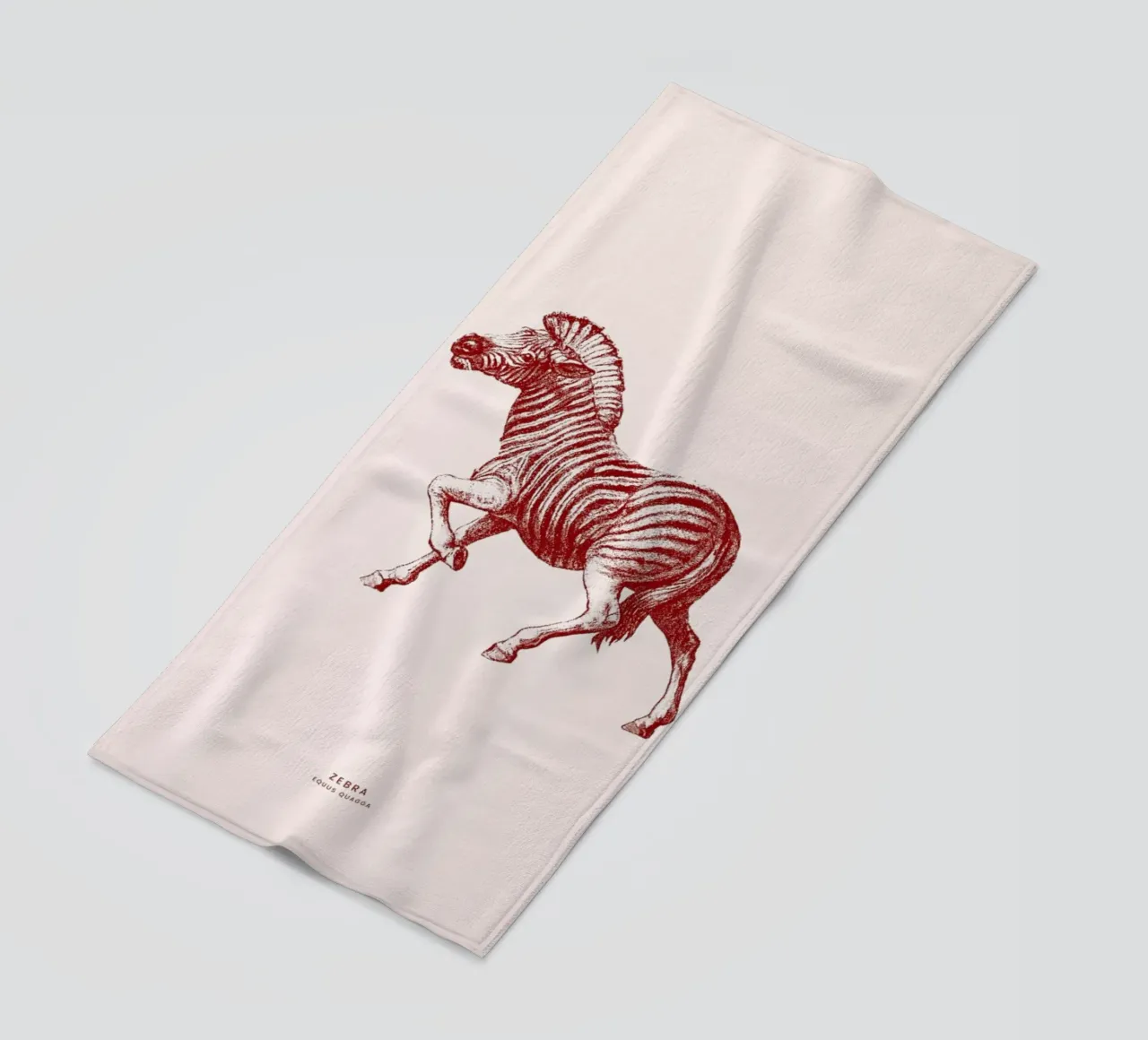 Zebra II telo mare da Flora & Fauna