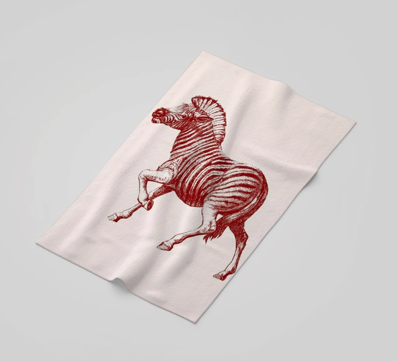 Zebra II telo mare da Flora & Fauna