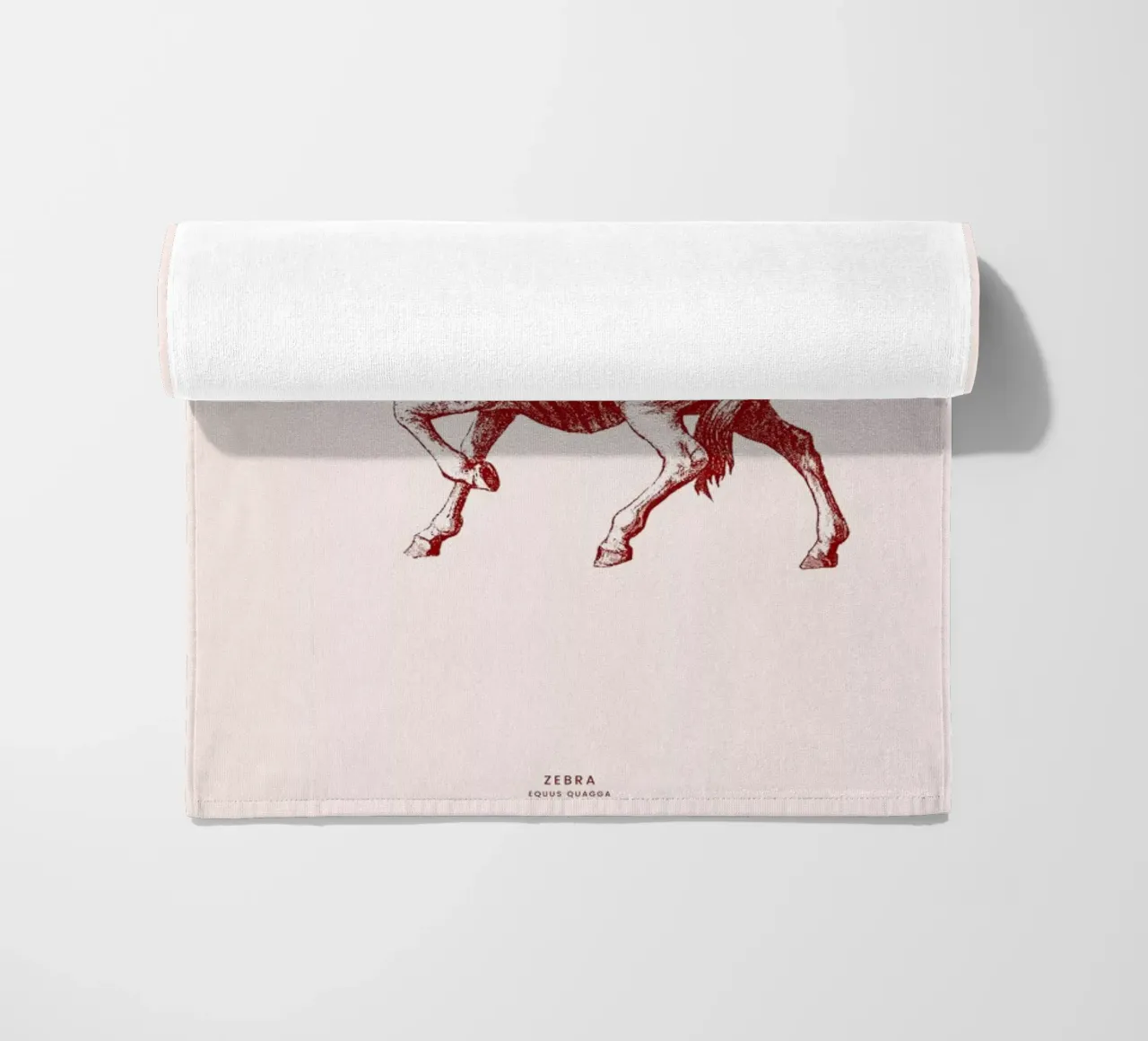 Zebra II telo mare da Flora & Fauna