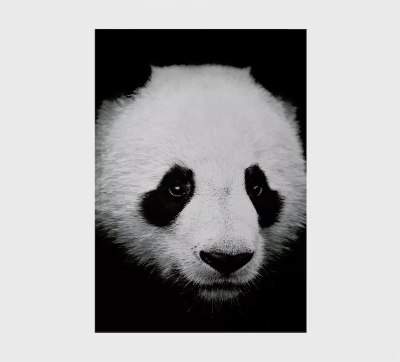 Panda notebook by Natural Kingdom