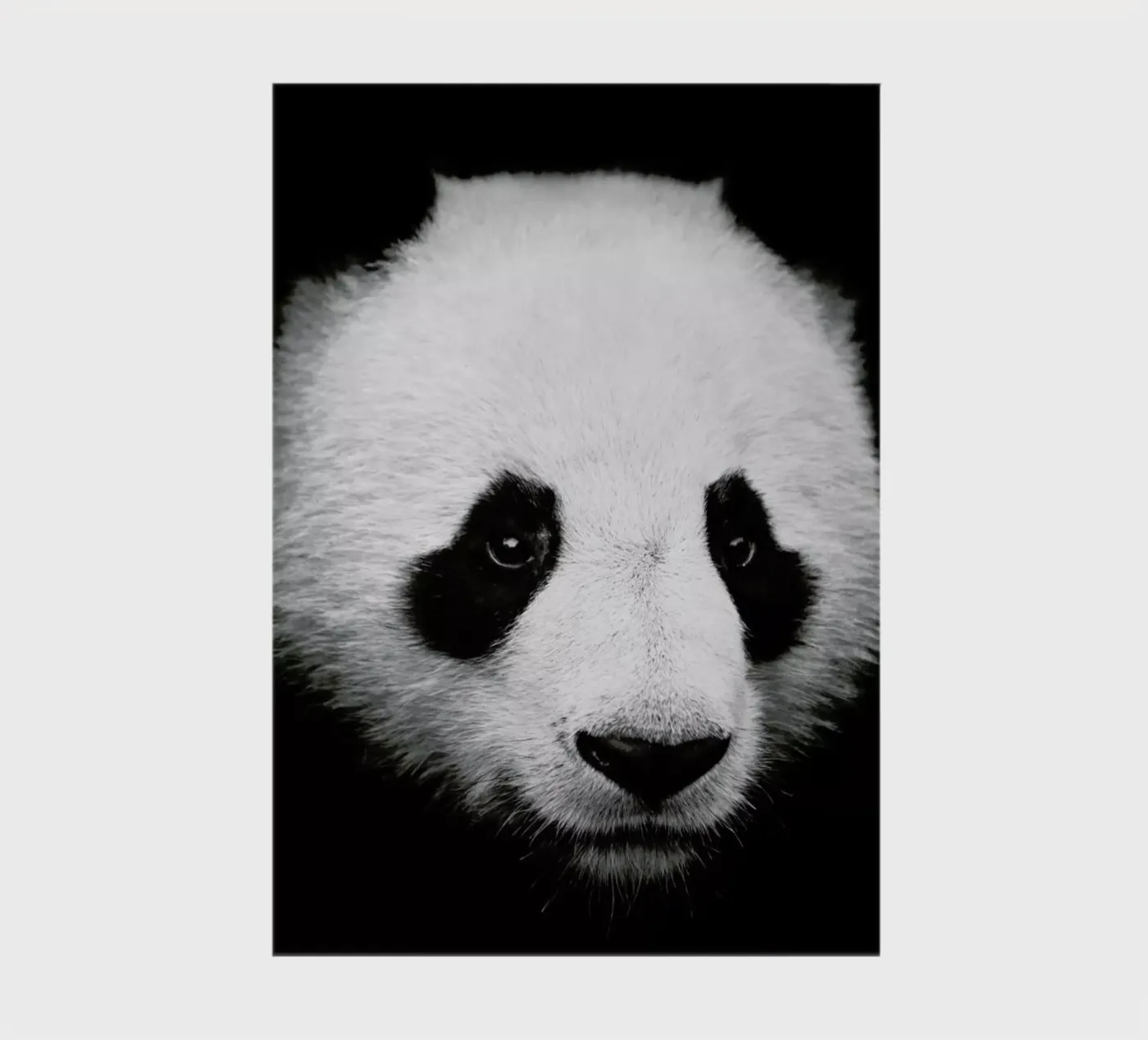 Panda notebook by Natural Kingdom