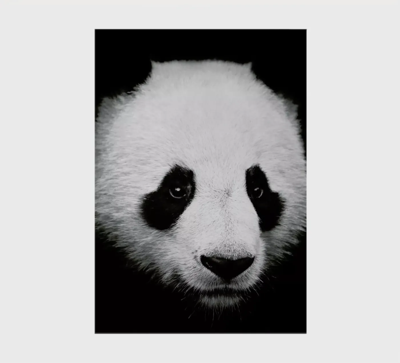 Panda notebook by Natural Kingdom