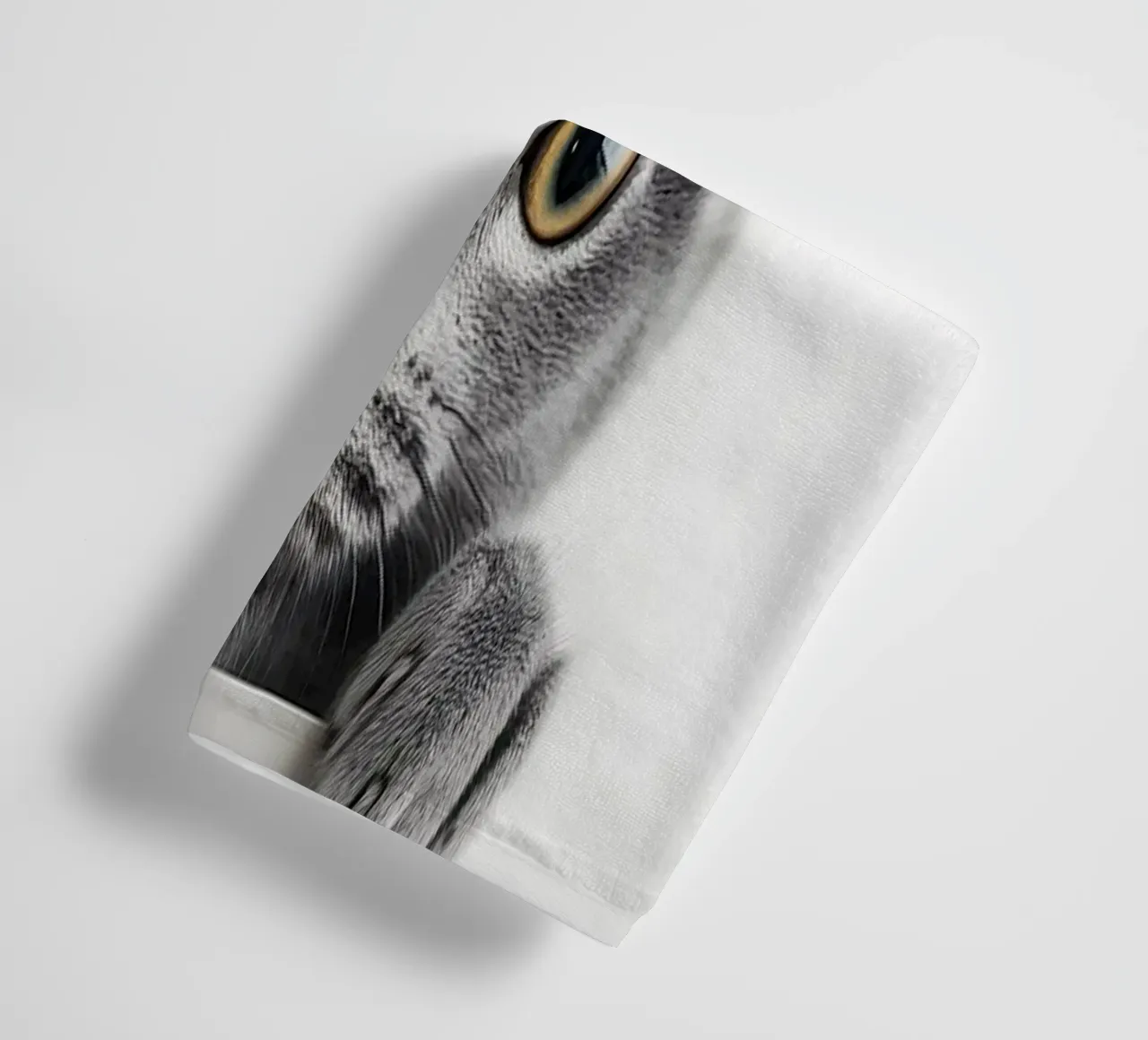 Curious paws at the edge of the table towel by M-Ulrich-Digital Art