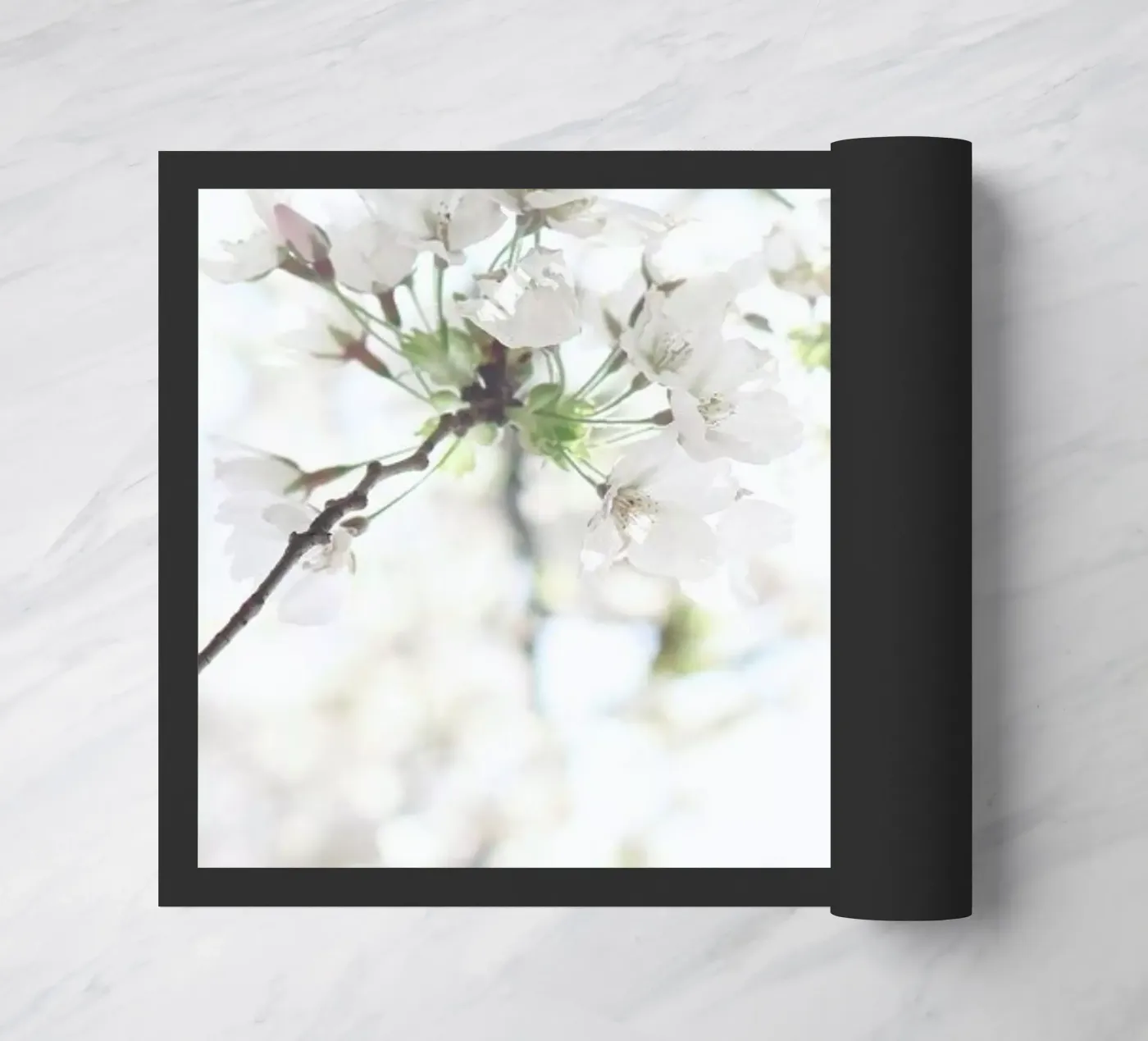 Cherry Blossoms 1 zerbino da Marlene Sørensen