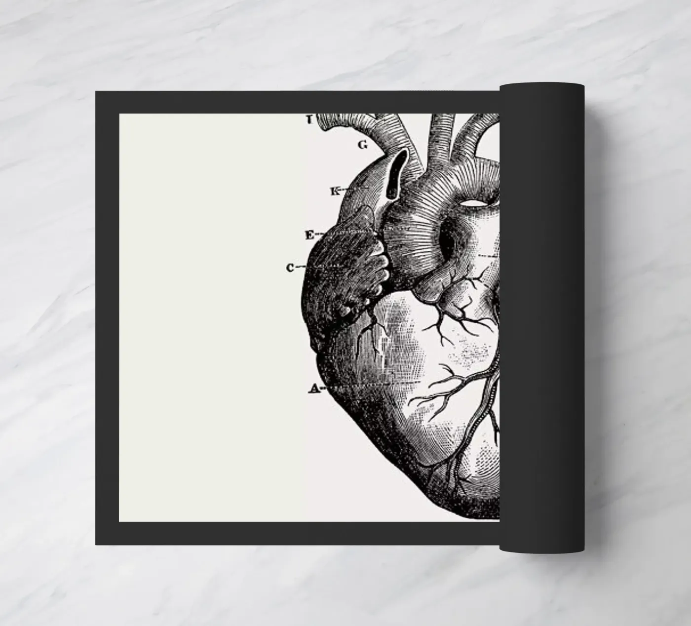 Human Heart zerbino da Flora & Fauna