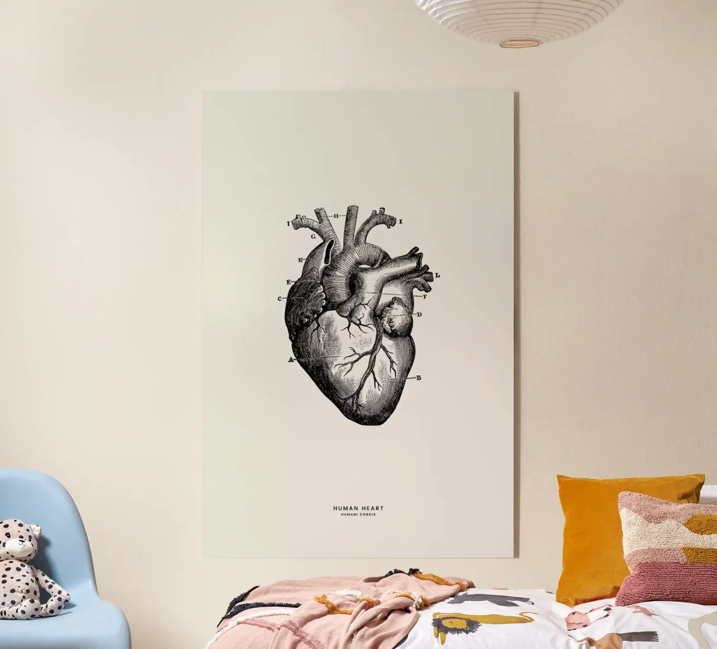 Human Heart acrylic glass by Flora & Fauna