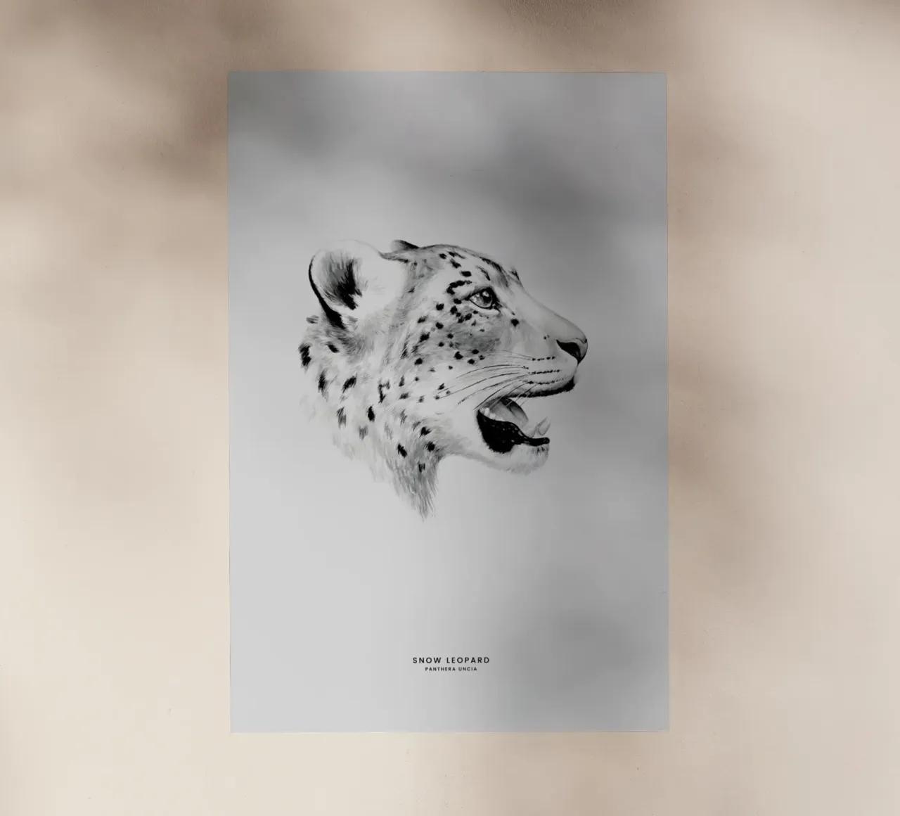 Snow Leopard pellicola backlit da Flora & Fauna