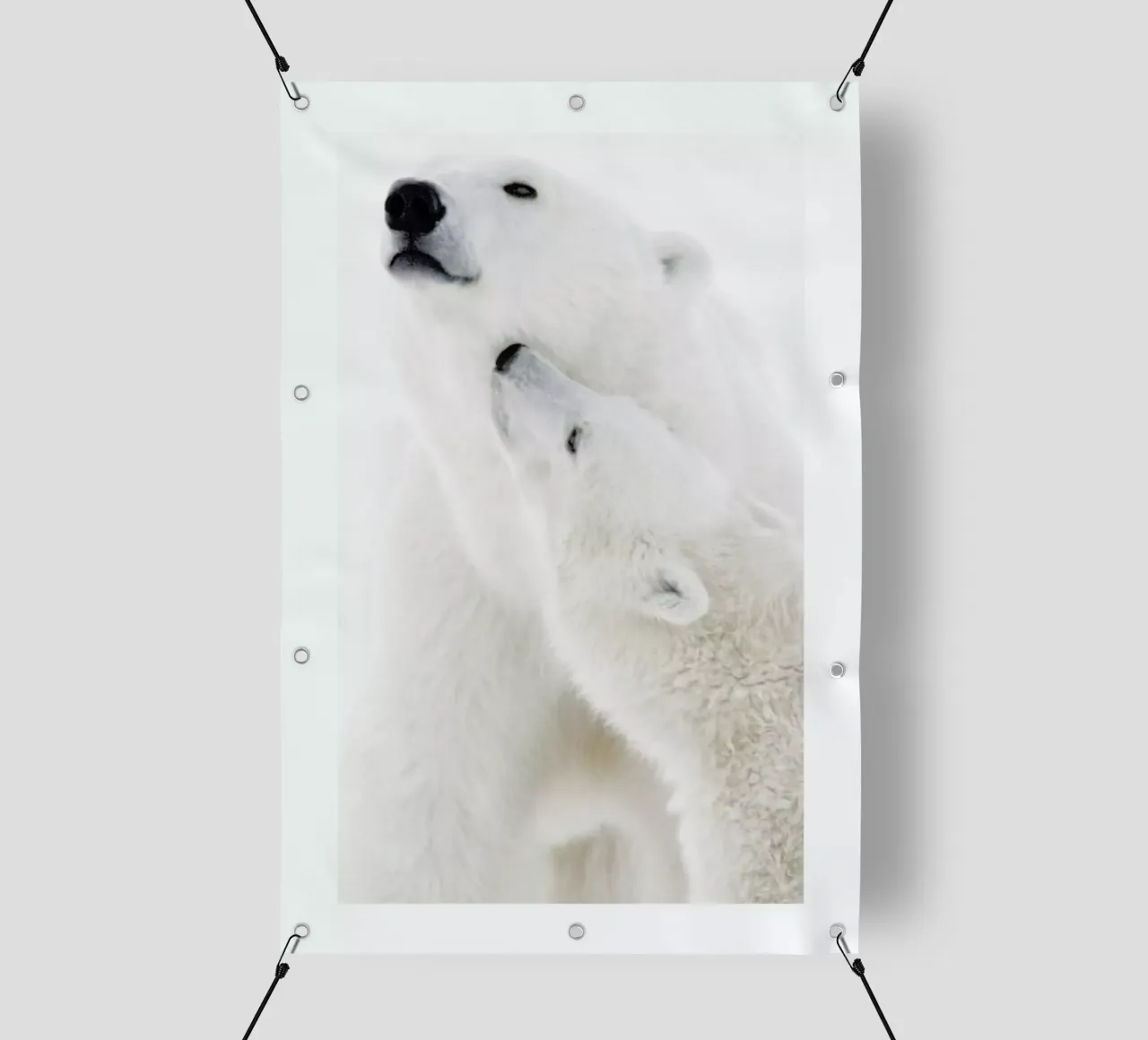 Polar Bears in Snow telo in pvc da Natural Kingdom