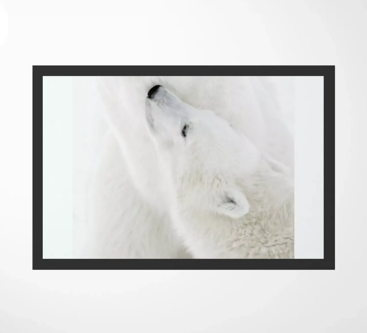 Polar Bears in Snow zerbino da Natural Kingdom