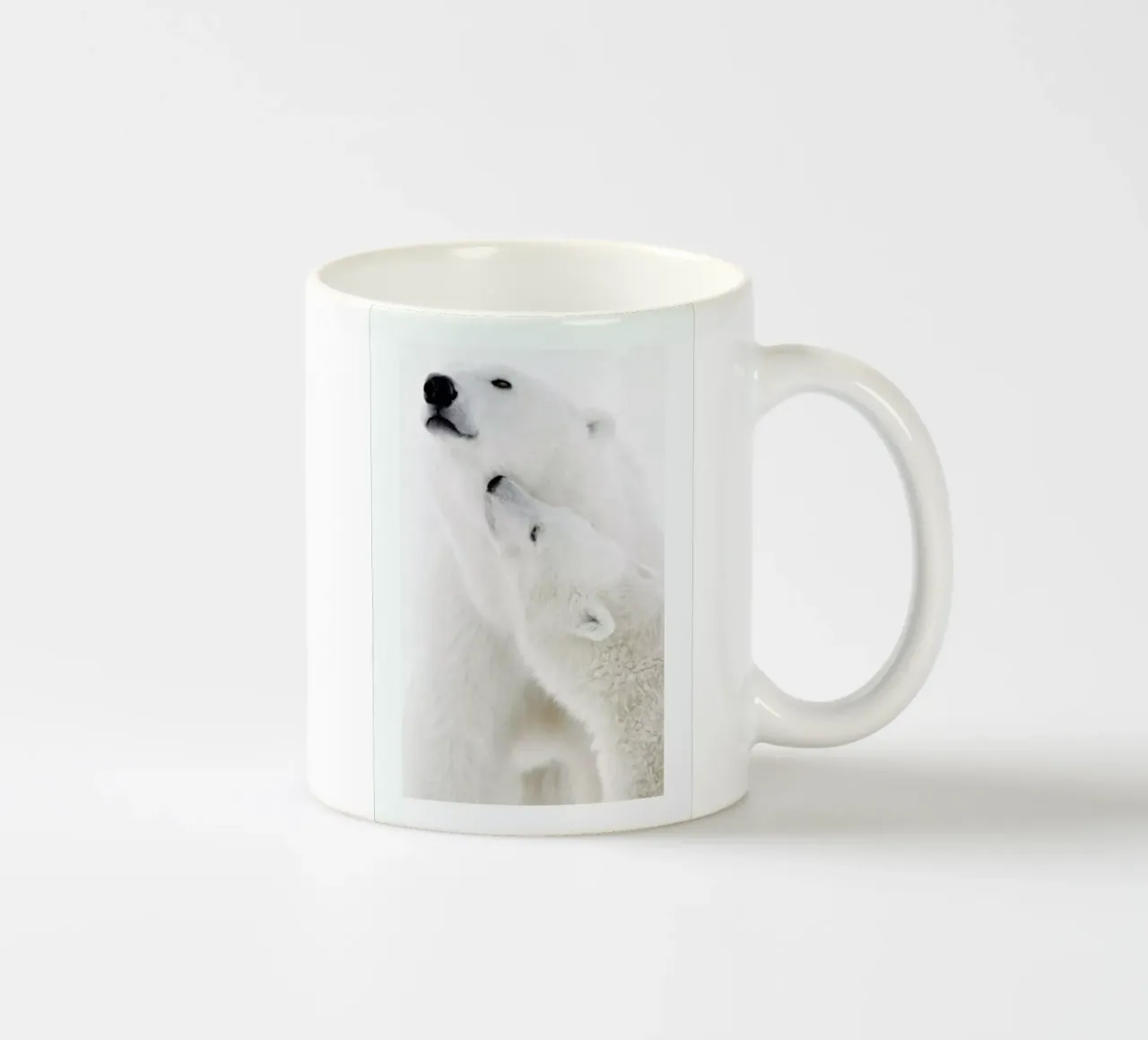 Polar Bears in Snow tazza in ceramica da Natural Kingdom