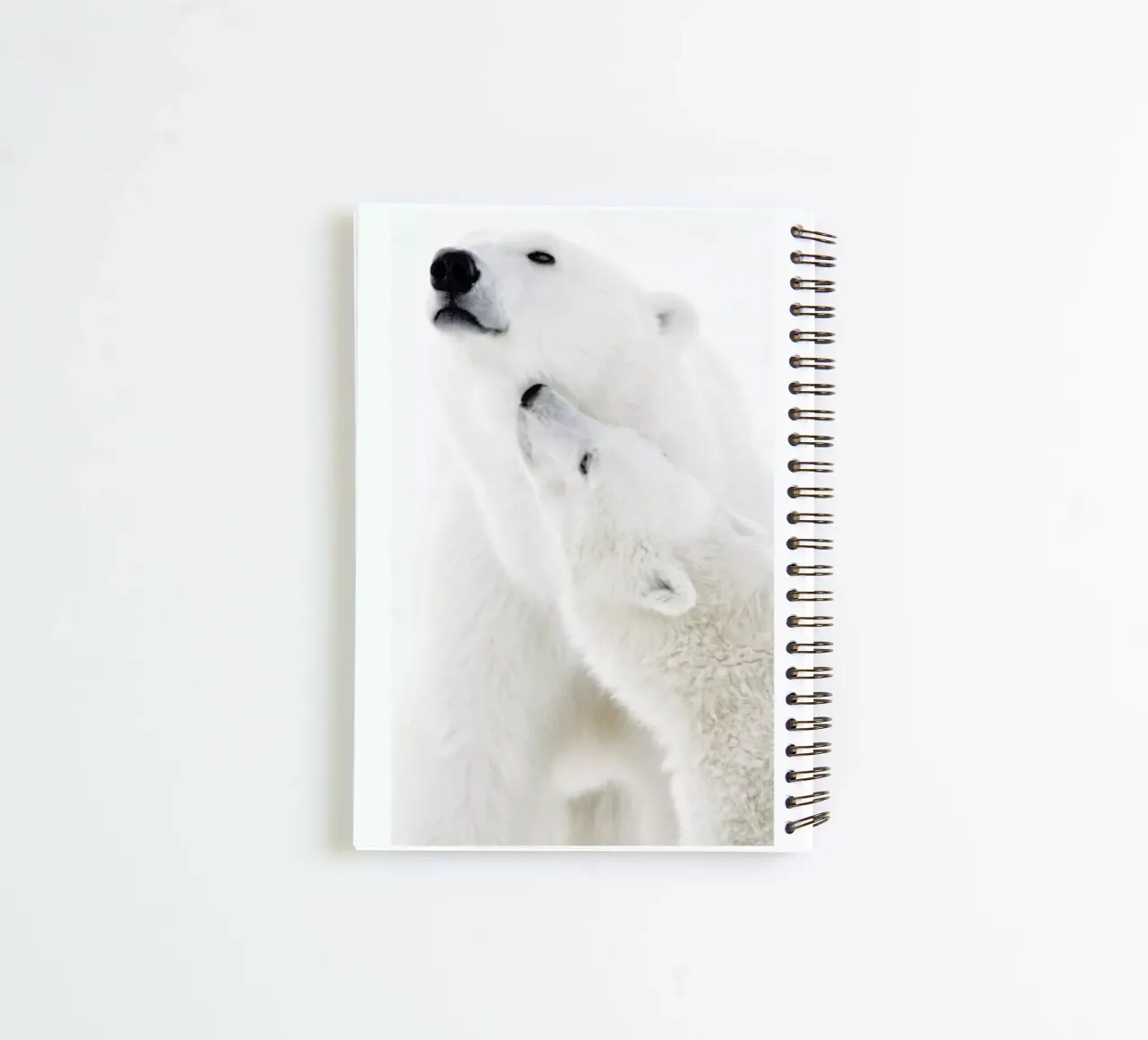 Polar Bears in Snow spiral notebook by Natural Kingdom