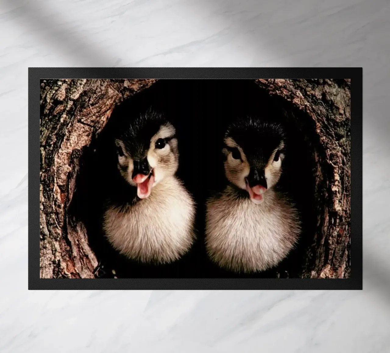 Chicks zerbino da Natural Kingdom