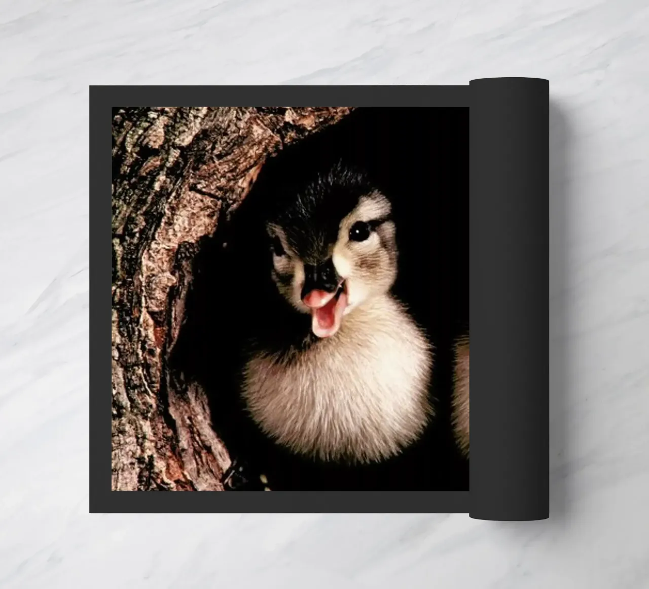 Chicks zerbino da Natural Kingdom