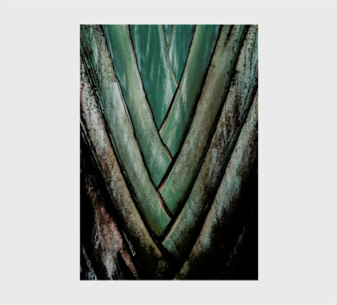 Travellers Palm notebook by Flora & Fauna