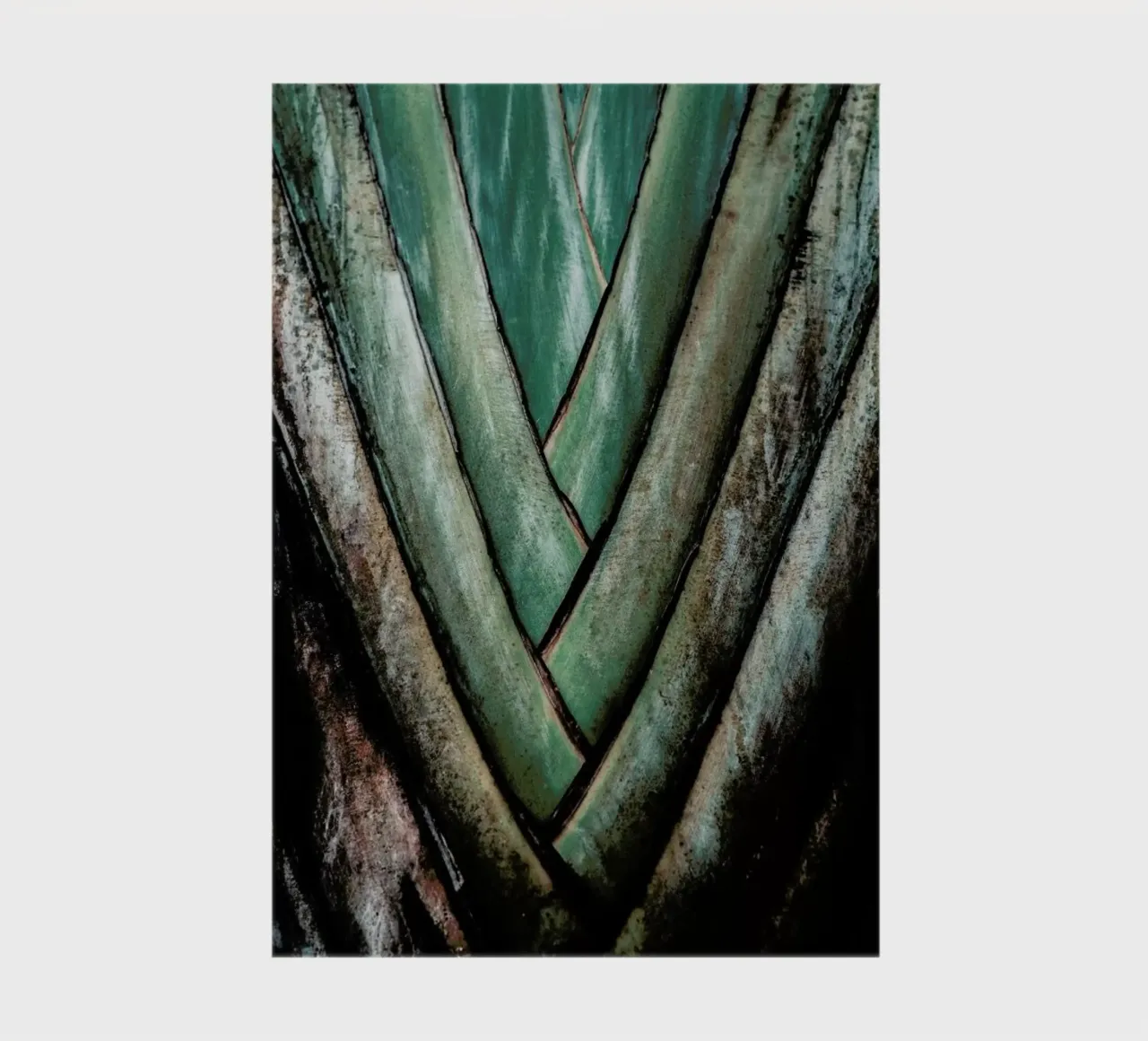 Travellers Palm notebook by Flora & Fauna