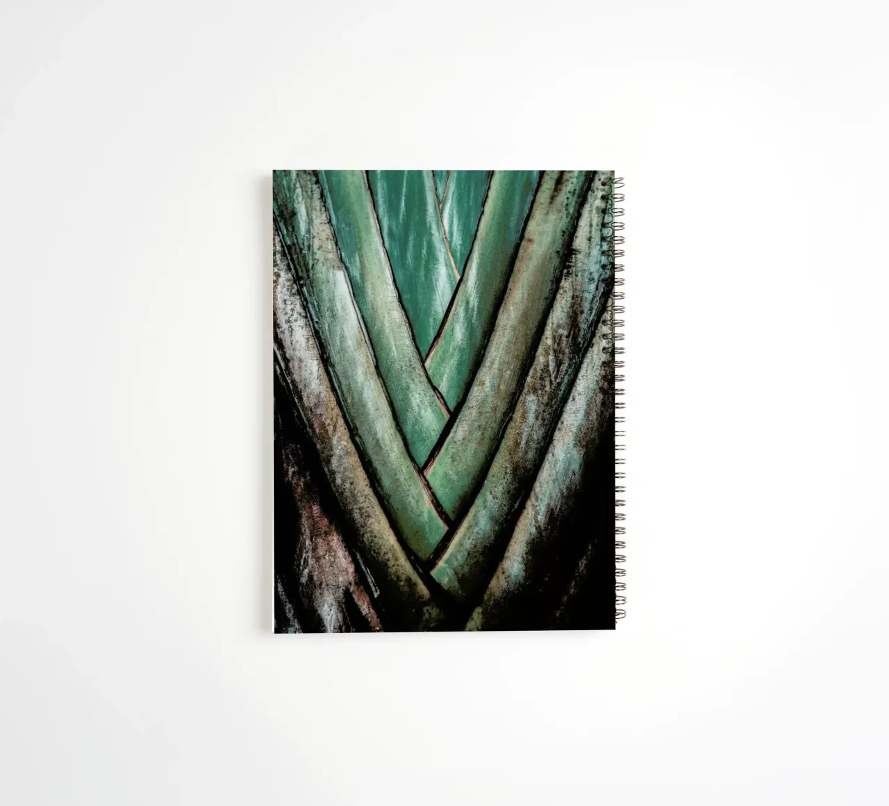 Travellers Palm spiral notebook by Flora & Fauna