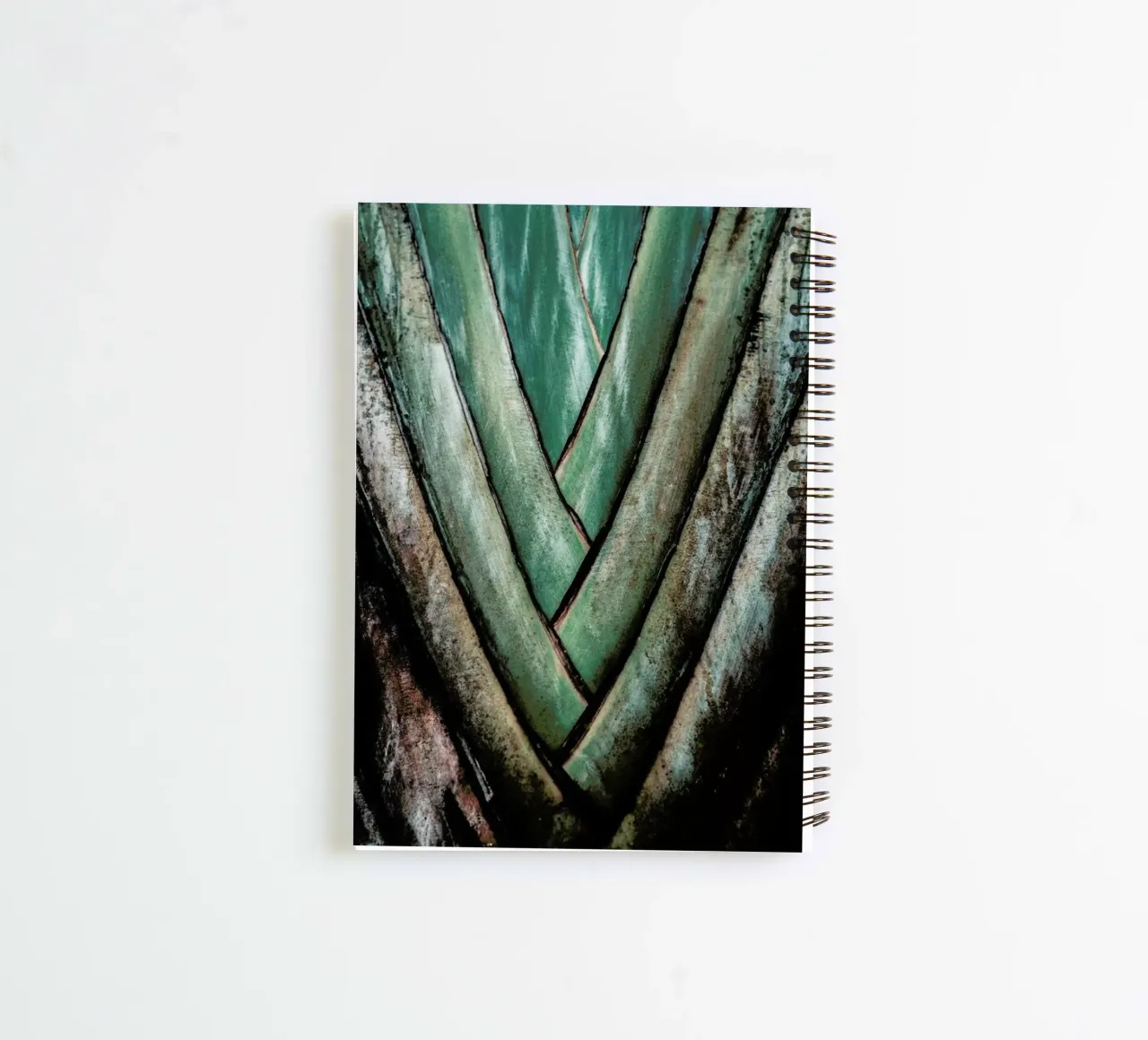 Travellers Palm spiral notebook by Flora & Fauna